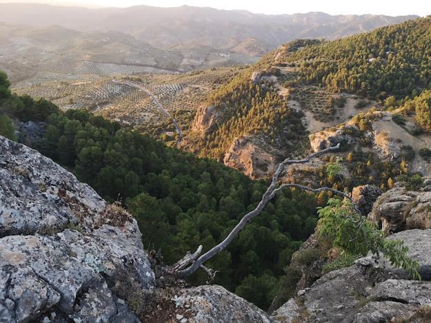 Vista Mora Sierra Cazorla Villa La Iruela Exteriör bild